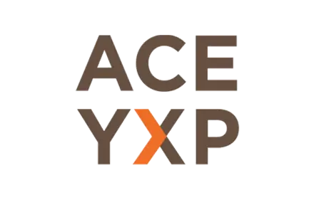 Ace YXP Yamuna Expressway 